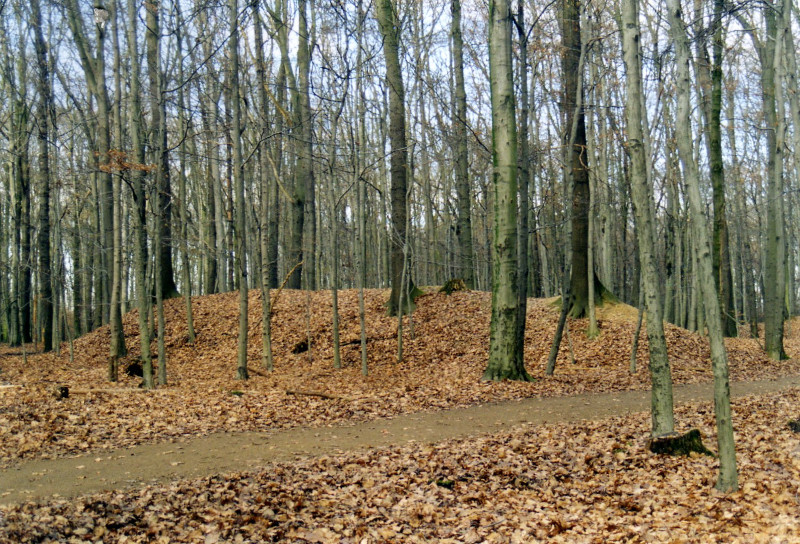 Kugelfang des preußischen Schießstandes im Aaper Wald